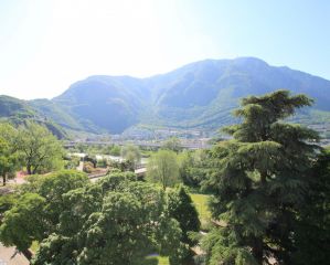 GRANDE TRILOCALE IMMERSO NEL VERDE IN VIA BUFFOLINI - Via Ada Buffulini - Ada-Buffulini-Straße rif. 21750A - Foto 6