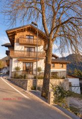 Palazzo da risanare di 335 mq in Vendita a Tires AV26028 - San Giorgio rif. AV26028 - Foto 14